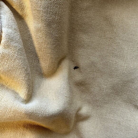 True Love Forever Yellow Cream Graphic Backpack Colorful Sacred Heart Bird - Picture 10 of 10